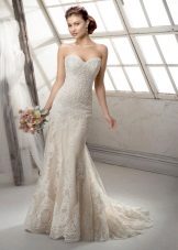 Mermaid Lace Wedding Dress with Train