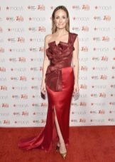 Raspberry Fancy Dress