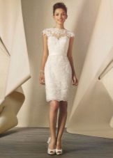 Medium Lace Sheath Wedding Dress