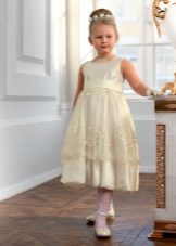 Elegant dress for a full girl A-line