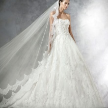Pronovias Lace Wedding Dress