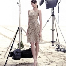 Lightweight Lace Evening Dress