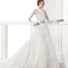 Shirtless Wedding Dress