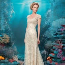 Empire style dress lace