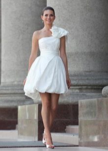 Ball Gown Wedding Dress