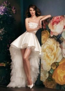 Briefly wedding dress from Alena Goretskaya
