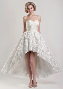 Short A-line Train Wedding Dress