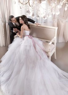 A magnificent wedding dress with an air train