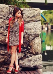 Brown Leopard Dress with a Red Cardigan