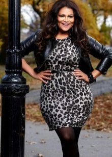A leopard sheath dress for the full in combination with a leather jacket