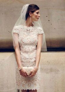 Light Peach Wedding Lace Sheath Dress