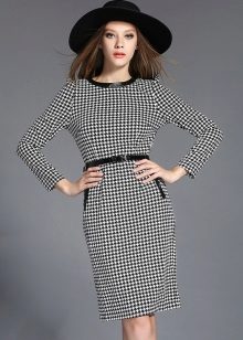 Sheath Dress Goose Feet