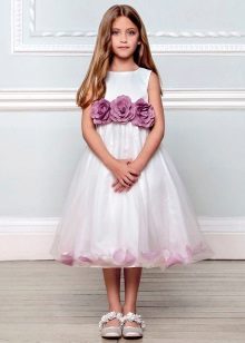 Vestit blanc de graduació amb grau 4