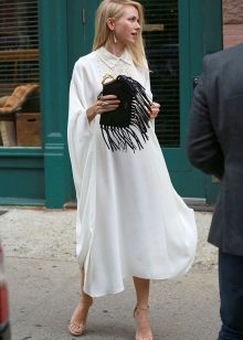 Bag for an evening dress-shirt