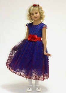 Graduation dress in kindergarten navy