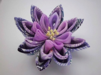 An example of a lotus flower from Kazan