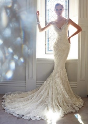 Sexy mermaid with train