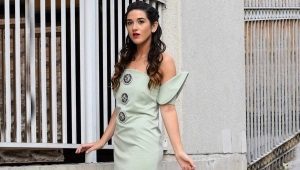 Dress of a direct silhouette - for fans of classics and minimalism