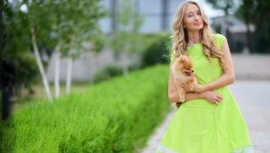 Light green dress - an image with notes of spring freshness