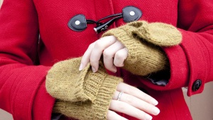 Mittens gloves