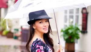 Gennemsigtig paraply