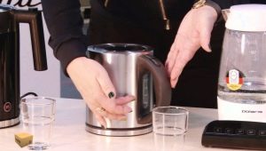 How to clean the kettle from scale and other contaminants?