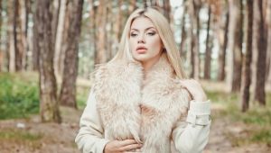 How to clean a fur collar at home?