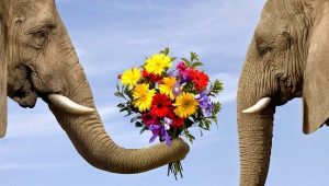 Ethics and Etiquette: Interrelation of Concepts