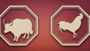 What you need to know about the Aries man born in the year of the Rooster?