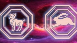 Characteristic of a Rabbit-Aries man