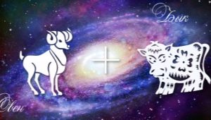 Characteristics of Aries-Bull men