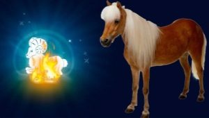 Characteristics of Aries Horse men