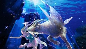 Bélier et Capricorne: l'union de la terre et du feu