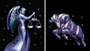 Aries and Libra: The Subtleties of Relationship Formation