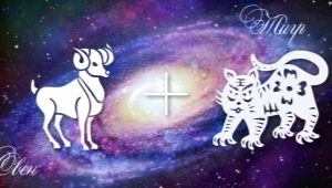 Aries-Tiger: character traits and compatibility in love