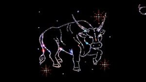 The union of Taurus with Taurus: the secrets of harmonious relations