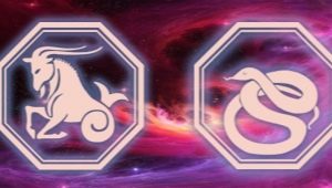  Characteristics of a Capricorn Male born in the year of the Snake