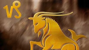 Compatibility of Capricorn with representatives of other zodiac signs