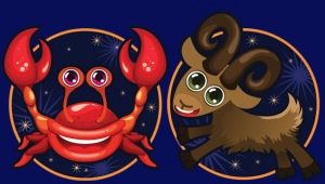 Cancer and Capricorn compatibility in love, friendship and at work