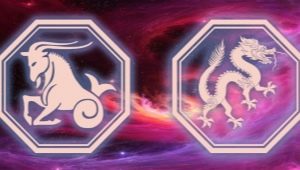 Capricorn woman born in the year of the Dragon: characteristics and compatibility