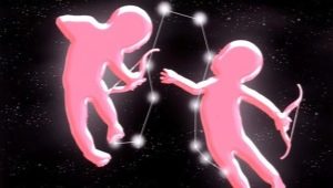 Character and compatibility of a male twin born in the year of the Bull