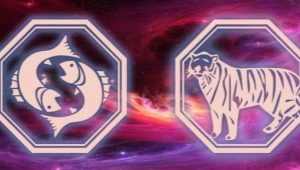 Characteristics and behavior of representatives of the sign Pisces born in the year of the Tiger
