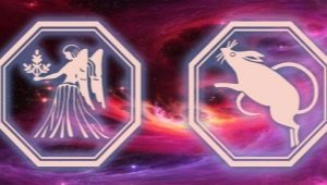  Characteristics of a Virgo man born in the year of the Rat