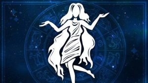 Characteristics of a Virgo man born in the year of the Monkey