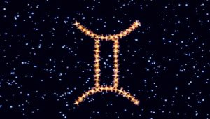 Characteristics of a twin woman born in the year of the Rat