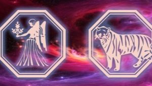 Characteristics of the Virgin Tiger Woman