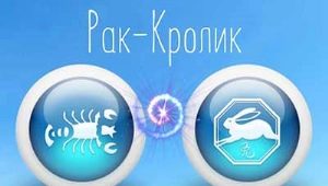 Characteristic of a woman of Cancer born in the year of the Rabbit