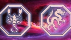 Characteristics of a woman Scorpio born in the year of the Dragon