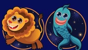 Lion and Pisces: relationship characteristics and compatibility