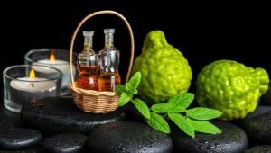 Bergamot oil: properties and tips for use